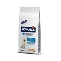 Koeratoit linnuliha ja riisiga Advance Maxi Adult, 12 kg цена и информация | Сухой корм для собак | hansapost.ee