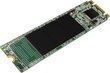Silicon Power A55 256GB SATA3 (SP256GBSS3A55M28) hind ja info | Sisemised kõvakettad | hansapost.ee