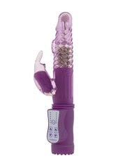 GC küülikukujuline vibraator Vibrating Rabbit, lilla hind ja info | Vibraatorid | hansapost.ee