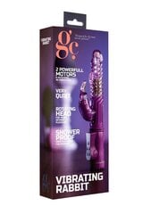 GC küülikukujuline vibraator Vibrating Rabbit, lilla hind ja info | Vibraatorid | hansapost.ee