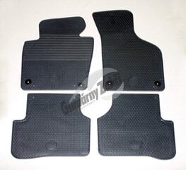 Напольные коврики VW Passat 2005-2010, 2011-2015 /214463 цена и информация | Модельные резиновые коврики | hansapost.ee