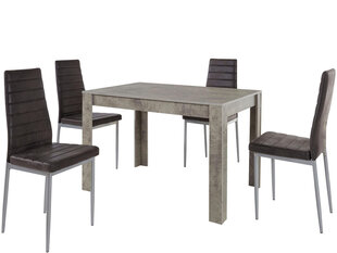 Комплект мебели для столовой Notio Living Lori 120/Kota, светло-серый/темно-серый цена и информация | Комплекты мебели для столовой | hansapost.ee