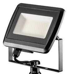 Напольная светодиодная лампа NEO 99-060 цена и информация | Фонарики, прожекторы | hansapost.ee