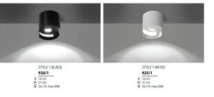 Emibig светильник Style 1 цена и информация | Потолочные светильники | hansapost.ee