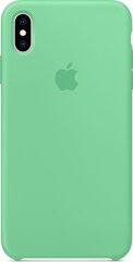 Apple Silicone Case для iPhone XS Max, Зеленый цена и информация | Чехлы для телефонов | hansapost.ee