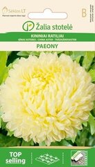 Hiina aster Paeony, kreemikas hind ja info | Lilleseemned | hansapost.ee