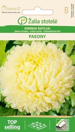 Hiina aster Paeony, kreemikas цена и информация | Lilleseemned | hansapost.ee