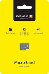 Evelatus Universal цена и информация | Карты памяти для телефонов | hansapost.ee