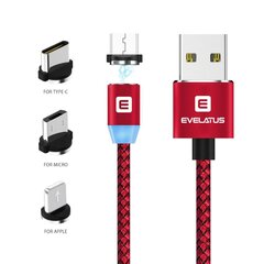 Evelatus Universal Data Kaabel LTM02 3 in 1 Magnetic (Lightining, Type C, Micro USB) Red hind ja info | Mobiiltelefonide kaablid | hansapost.ee