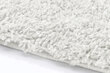 Vaip Shaggy White, 120x170 cm цена и информация | Vaibad | hansapost.ee