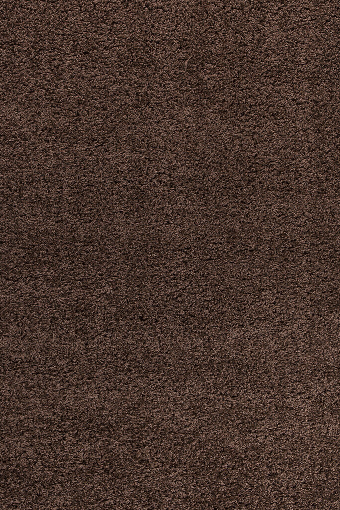 Ayyildiz vaip Shaggy Dream Brown 4000, 120x170 cm цена и информация | Vaibad | hansapost.ee