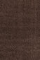 Ayyildiz vaip Shaggy Dream Brown 4000, 120x170 cm hind ja info | Vaibad | hansapost.ee