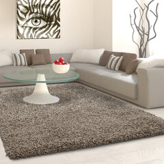 Vaip Ayyildiz LIFE taupe, 120x170 cm price and information | Carpets | hansapost.ee