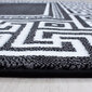 Vaip Ayyildiz Parma Black 9340, 120x170 cm цена и информация | Vaibad | hansapost.ee