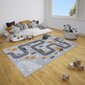 Lastetoa vaip Hanse Home Adventures, 120x170 cm hind ja info | Vaibad | hansapost.ee