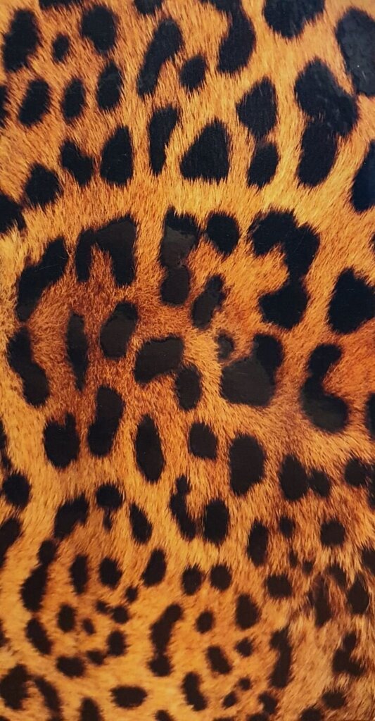 Kaitsekiled Evelatus    Universal    Leopard Colorful Film for Screen Cutter hind ja info | Telefonide kaitsekaaned ja -ümbrised | hansapost.ee