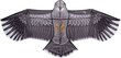 Tuulelohe Dragon Fly Eagle цена и информация | Tuulelohed ja tarvikud | hansapost.ee