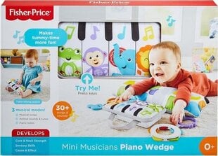 Мягкое мини-пианино Fisher-Price® GJD27 цена и информация | Игрушки для малышей | hansapost.ee