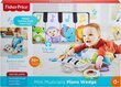 Fisher-Price® pehme miniklaver GJD27 цена и информация | Beebide mänguasjad | hansapost.ee