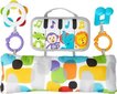 Fisher-Price® pehme miniklaver GJD27 цена и информация | Beebide mänguasjad | hansapost.ee