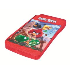 Матрас + спальный мешок Angry Birds цена и информация | Надувные матрасы и мебель | hansapost.ee