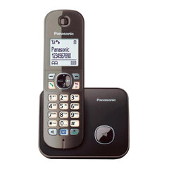 Panasonic KX-TG6811FXM, серый цена и информация | Panasonic Мобильные телефоны, Фото и Видео | hansapost.ee
