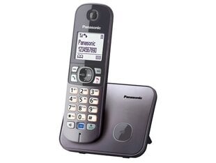 Panasonic KX-TG6811FXM, серый цена и информация | Panasonic Мобильные телефоны, Фото и Видео | hansapost.ee