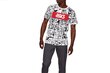 Spordisärk Asics TF M Graphic SS 1 Tee M 2191A260-101, 60262 цена и информация | Spordiriided meestele | hansapost.ee