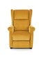 AGUSTIN recliner, color: mustard цена и информация | Tugitoolid | hansapost.ee