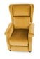 AGUSTIN recliner, color: mustard цена и информация | Tugitoolid | hansapost.ee