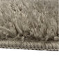 Libisemiskindel vaip Shaggy Latte 160x220 cm hind ja info | Vaibad | hansapost.ee