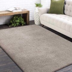 Libisemiskindel vaip Shaggy Latte 200x290 cm hind ja info | Vaibad | hansapost.ee