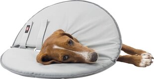 Защитный ошейник для животных Trixie, 13 см цена и информация | Одежда для собак | hansapost.ee