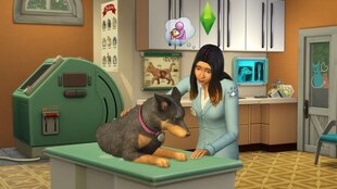 Игра для PlayStation 4, The Sims 4 + Cats and Dogs Bundle цена и информация | Компьютерные игры | hansapost.ee