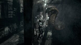 Resident Evil - Origins Collection (PS4) hind ja info | Konsooli- ja arvutimängud | hansapost.ee
