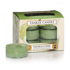 Yankee Candle Vanilla Lime lõhnaküünal 12 x 9.8 g hind ja info | Küünlad, küünlajalad | hansapost.ee