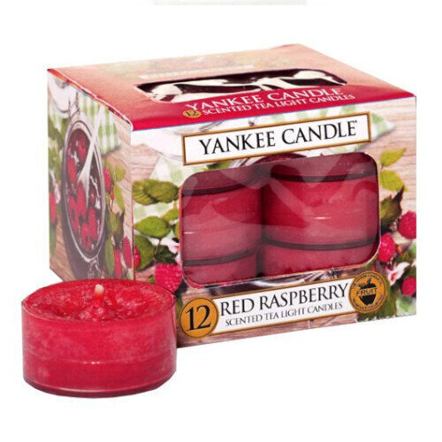 Yankee Candle Red Raspberry lõhnaküünal 12 x 9.8 g hind ja info | Küünlad, küünlajalad | hansapost.ee