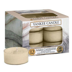 Yankee Candle Warm Cashmere lõhnaküünal 12 x 9.8 g hind ja info | Küünlad, küünlajalad | hansapost.ee