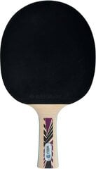 Lauatennisereket Donic Schildkrot Legends 800 FSC price and information | Ping pong/board tennis rackets and racket bags | hansapost.ee