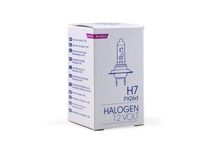 Halogeenpirn M-Tech H7 12V hind ja info | Autopirnid | hansapost.ee