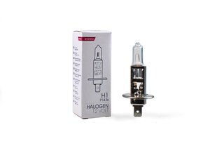 Halogeenpirn M-Tech H1 12V hind ja info | M-Tech Autoelektroonika | hansapost.ee