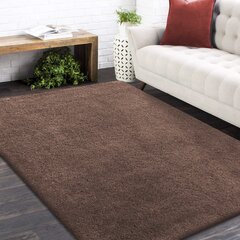 Vaip Shaggy Kamel Cappuccino, 120x170 cm hind ja info | Vaibad | hansapost.ee