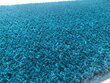 Vaip Shaggy Kamel Sea, 120x170 cm цена и информация | Vaibad | hansapost.ee
