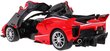 RASTAR auto 1:14 RC Ferrar LaFerrari, 50160 цена и информация | Mänguasjad poistele | hansapost.ee