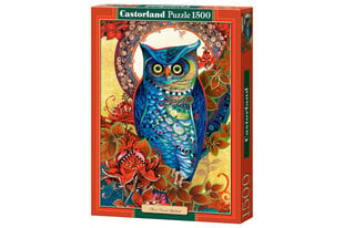 Pusle Puzzle Castorland Hoot (Öökullid), David Galchutt, 1500 osa. hind ja info | Pusled lastele ja täiskasvanutele | hansapost.ee