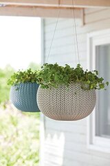 Горшок для цветов подвесной Cosy S With Hanging Set фиолетовый цена и информация | Ящики для рассады | hansapost.ee