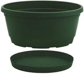 Nicoli вазон с тарелкой Rumba 22, зеленый цена и информация | Ящики для рассады | hansapost.ee