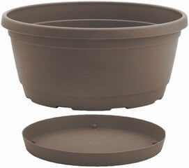 Nicoli чаша с тарелкой Rumba 25, коричневая цена и информация | Ящики для рассады | hansapost.ee