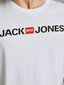 Meeste T-särk Jack & Jones 12137126*03, valge цена и информация | T-särgid meestele | hansapost.ee