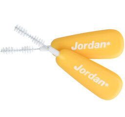 Ершики для зубов Jordan L 10 шт. цена и информация | Для ухода за зубами | hansapost.ee